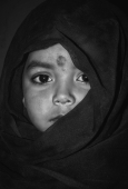 IIP Online Student Photography